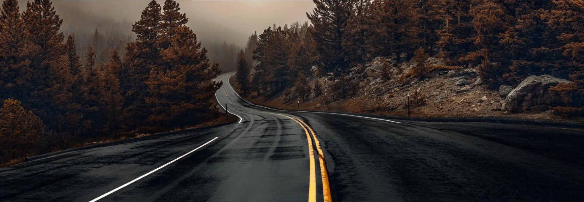 Common Driver Distractions and How to Avoid Them